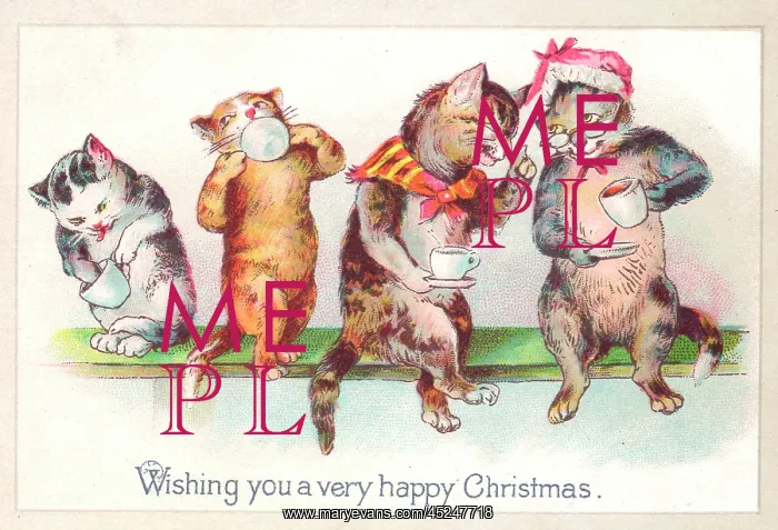 : Four cats drinking tea on a Christmas card : Four cats drinking tea on a Christmas card