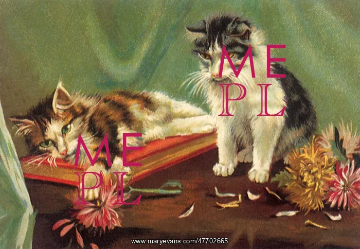  : Cats with Flowers