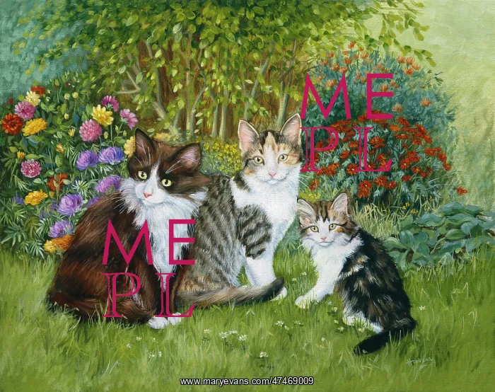 : Cats in the Garden : Cats in the Garden