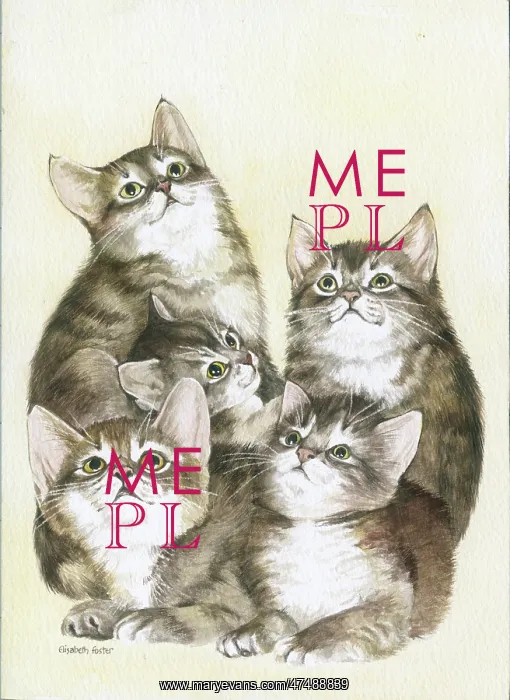  : Five cats gazing upward
