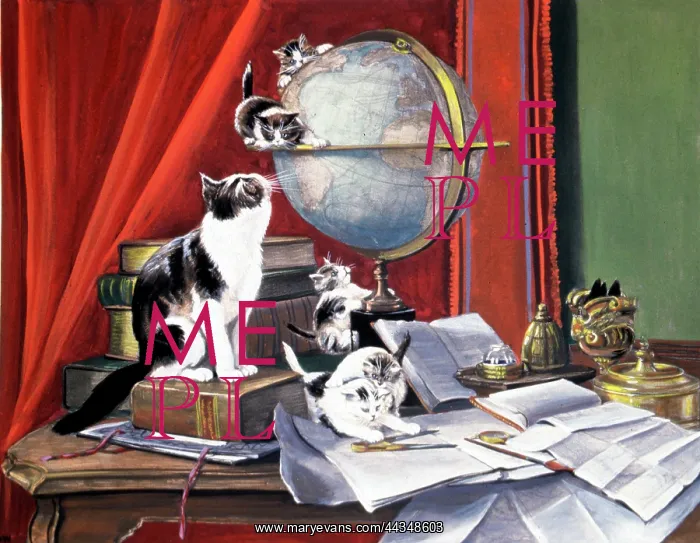  : Cats - Globe