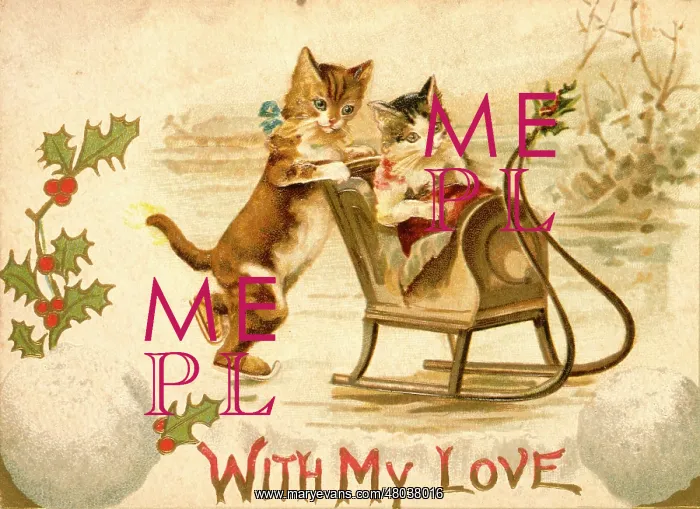  : Two cats on ice on a greetings card