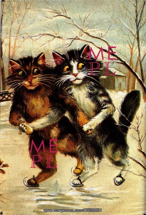  : Cats Ice Skating