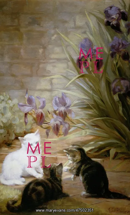 : Cats with Irises : Cats with Irises