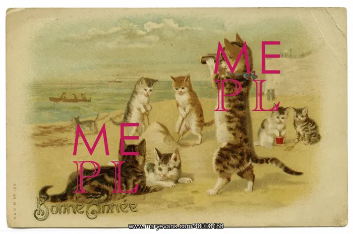 : Cats and kittens at the seaside on a New Year card : Cats and kittens at the seaside on a New Year card
