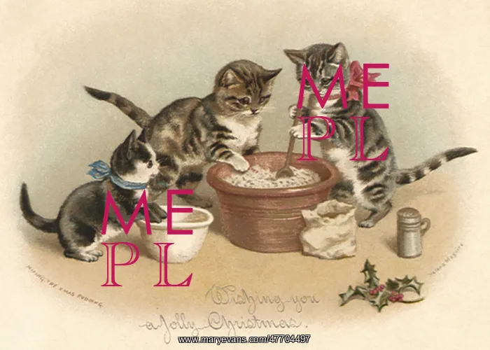 : Cats Make Pudding