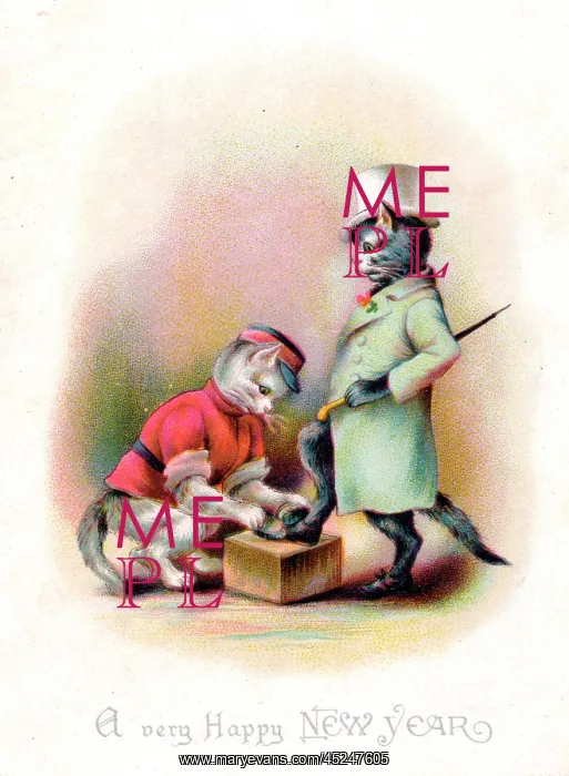 : Two cats on a New Year card : Two cats on a New Year card
