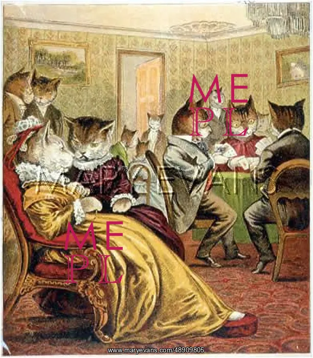  : CATS PARTY