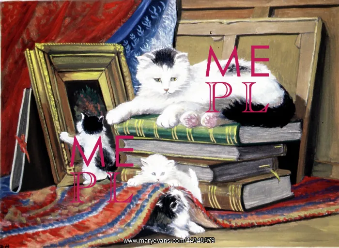  : Cats - Picture Frame - Books