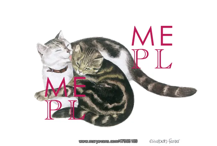  : Two Cats -'Pippin Washing Merry