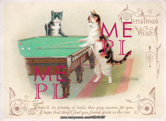 : Two cats playing billiards on a Christmas card : Two cats playing billiards on a Christmas card