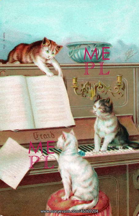 : Three cats playing the piano on a greetings postcard : Three cats playing the piano on a greetings postcard