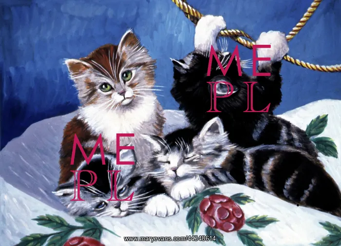  : Cats playing with a Rope