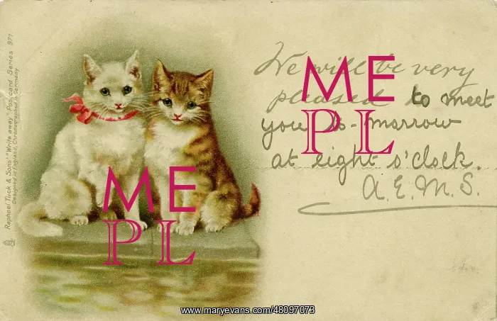  : Two cats on a postcard