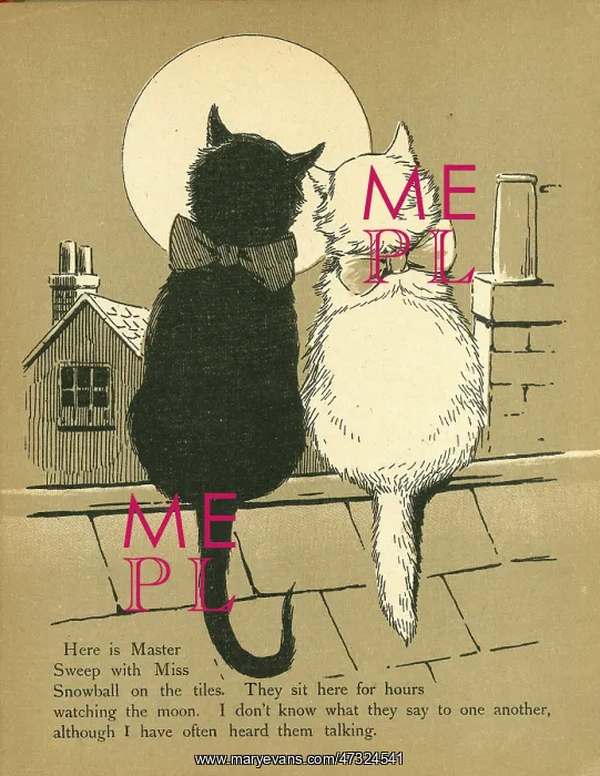 : Two Cats on a Roof : Two Cats on a Roof