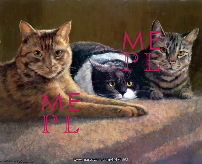  : Three cats on a rug