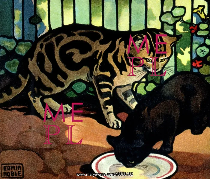  : Two cats with a saucer of milk