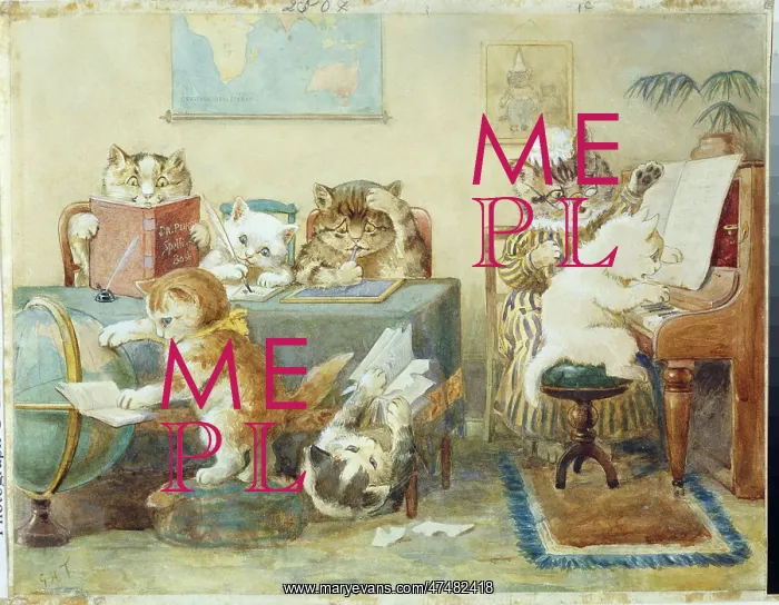 : Cats at School ' reading, writing, piano etc : Cats at School ' reading, writing, piano etc