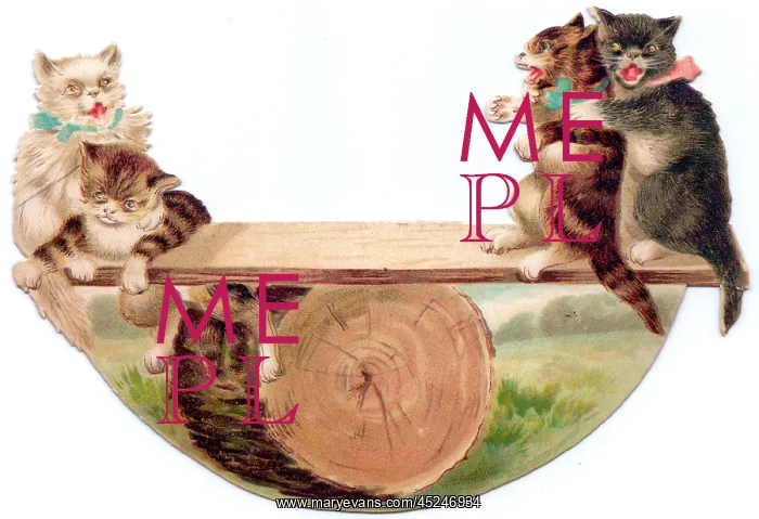 : Four cats seesawing on a greetings card : Four cats seesawing on a greetings card