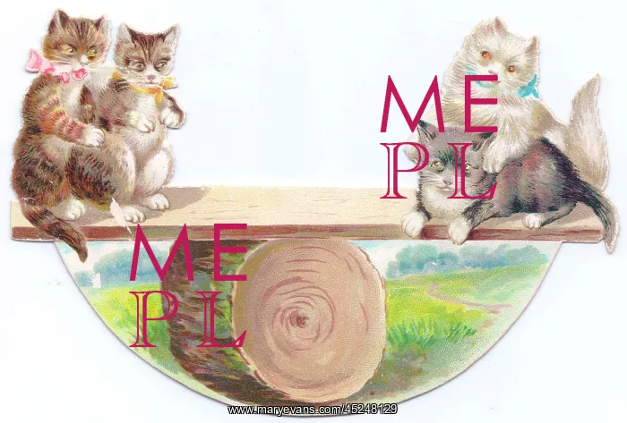 : Four cats seesawing on a greetings card : Four cats seesawing on a greetings card