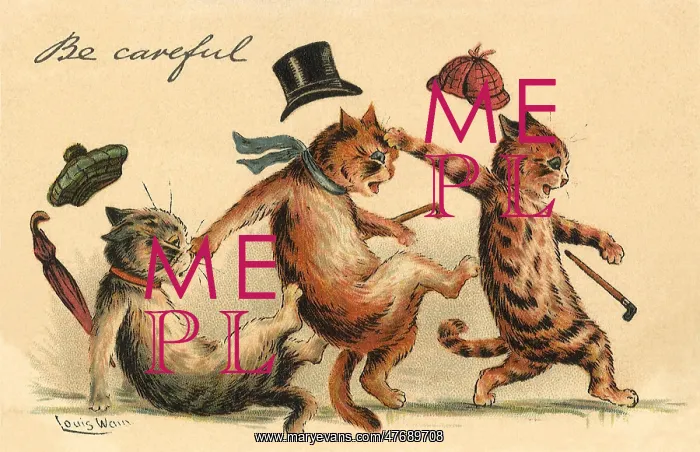  : Cats Slipping