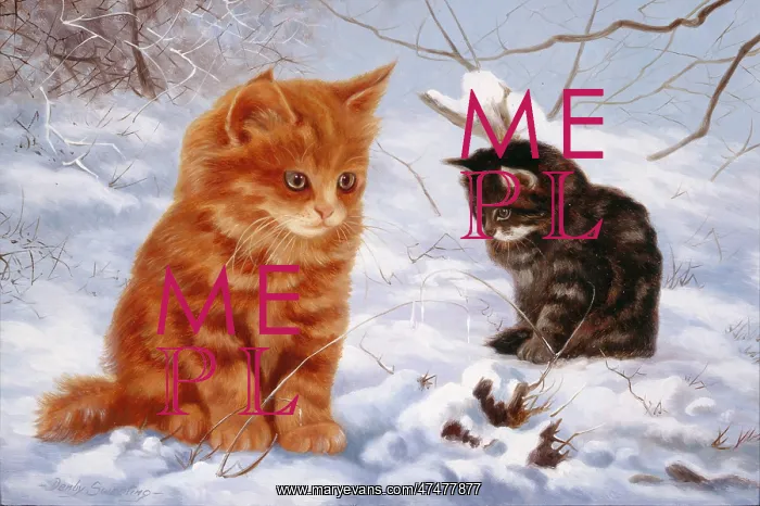  : Two Cats in Snow ' ginger, & tortoiseshell