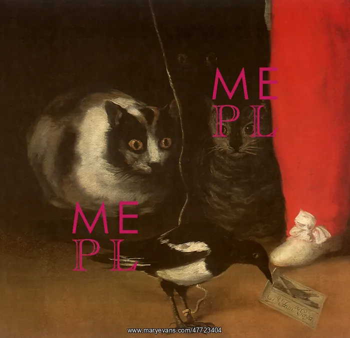  : Three Cats stare at a Magpie, by Goya