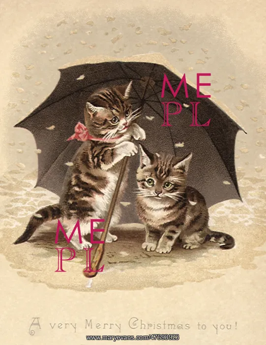  : Cats Under Umbrella
