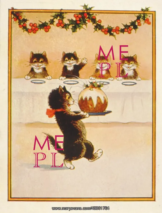 : Cats waiting for their Christmas pudding : Cats waiting for their Christmas pudding