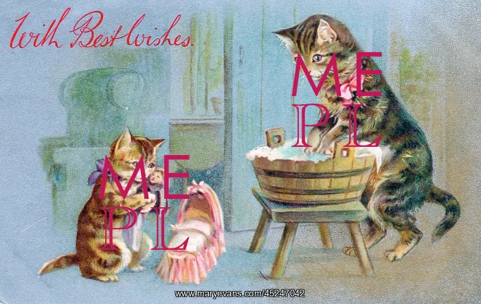 : Two cats on a washday greetings card : Two cats on a washday greetings card