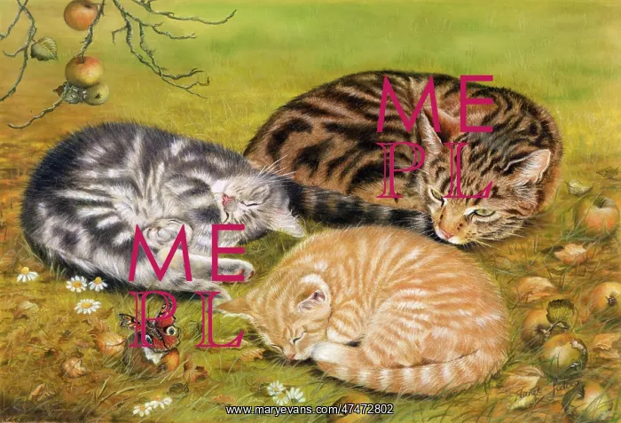 : Cats among Windfall Apples : Cats among Windfall Apples
