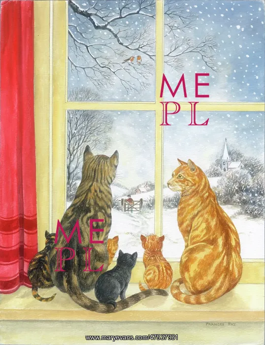 : Cats on window ledge with snow outside : Cats on window ledge with snow outside