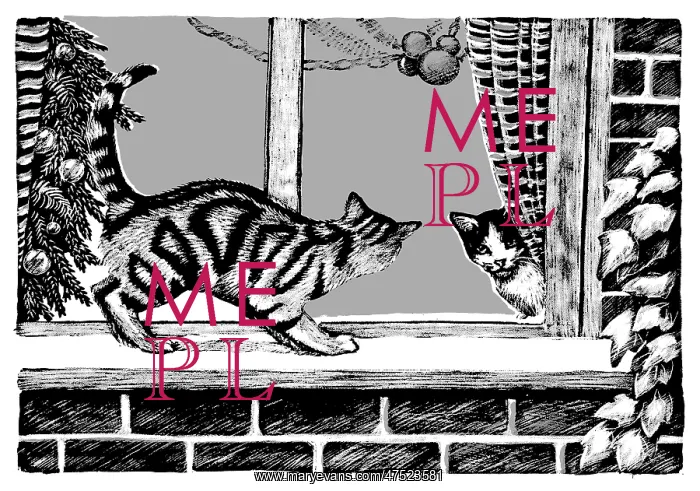 : Cats on window sill looking at cat inside : Cats on window sill looking at cat inside