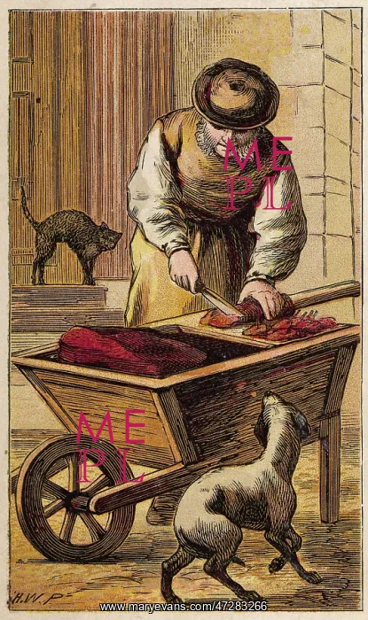: Catsmeat Man : Catsmeat Man