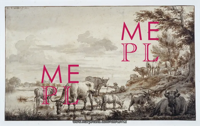 : Cattle on the banks of a river : Cattle on the banks of a river