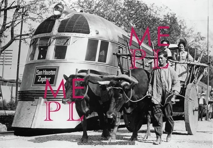 : A cattle cart and a modern train on : A cattle cart and a modern train on