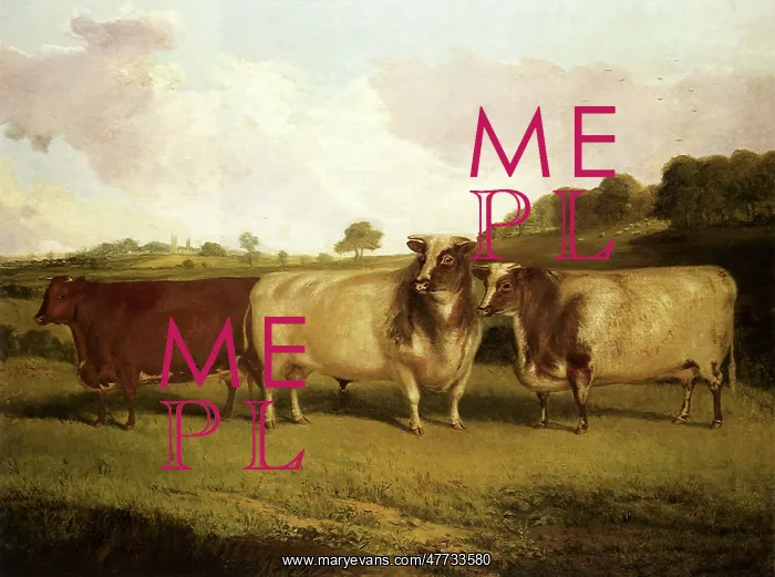 : Cattle Hears Train : Cattle Hears Train