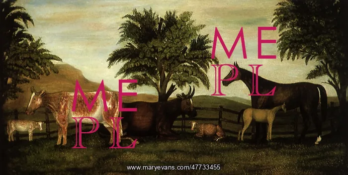  : Cattle and Horses