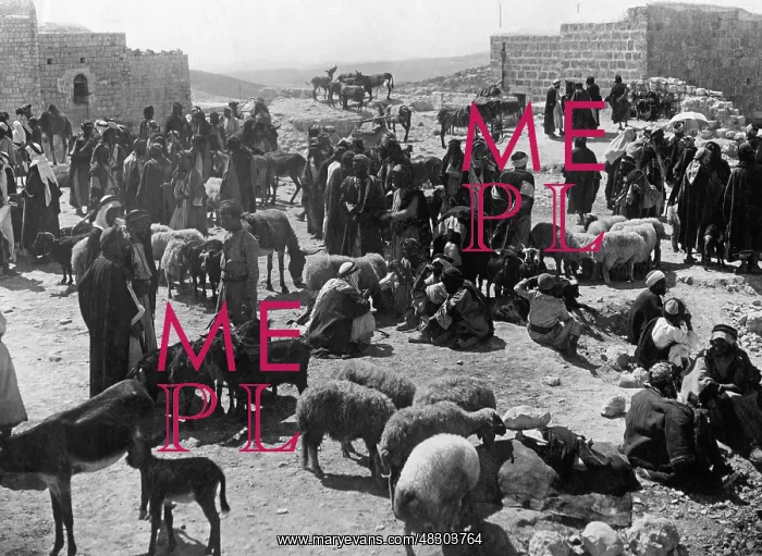 : Cattle market in Bethlehem, around 1930 : Cattle market in Bethlehem, around 1930