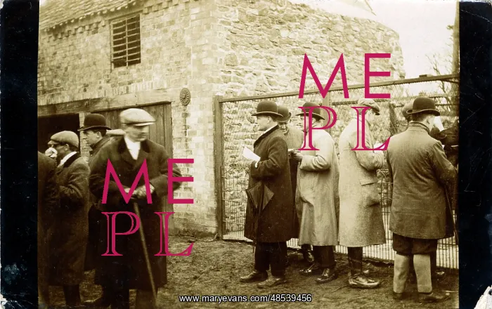 : The Cattle Market, Beverley, Yorkshire : The Cattle Market, Beverley, Yorkshire