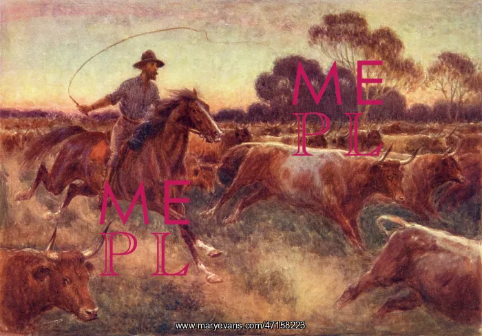  : Cattle Rush in Australia