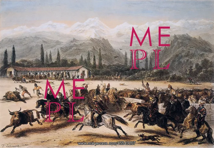 : Cattle scene of a butchery; Illustration fom : Cattle scene of a butchery; Illustration fom