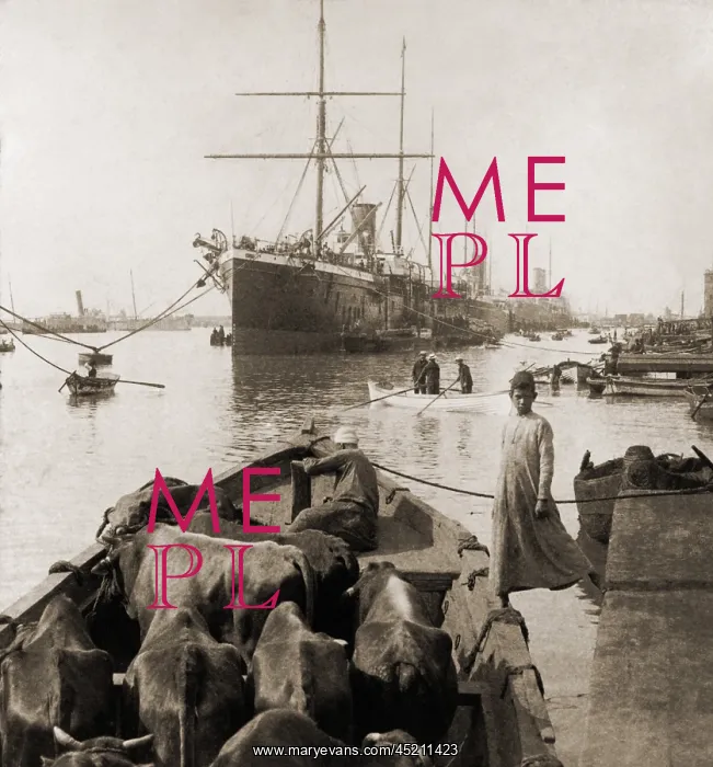 : Cattle in a small boat destined to provide ? : Cattle in a small boat destined to provide ?
