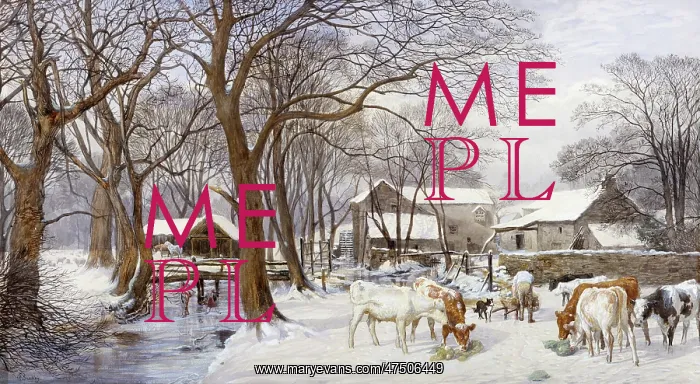 : Cattle in Snow ' with farm and river : Cattle in Snow ' with farm and river