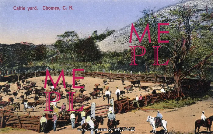  : Cattle Yard, Chomes, Costa Rica