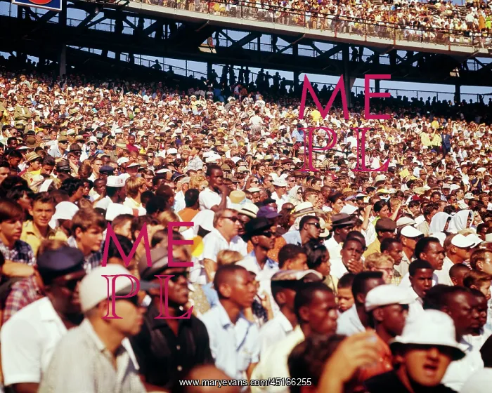 : Caucasian and African-American Diverse Crowd at : Caucasian and African-American Diverse Crowd at