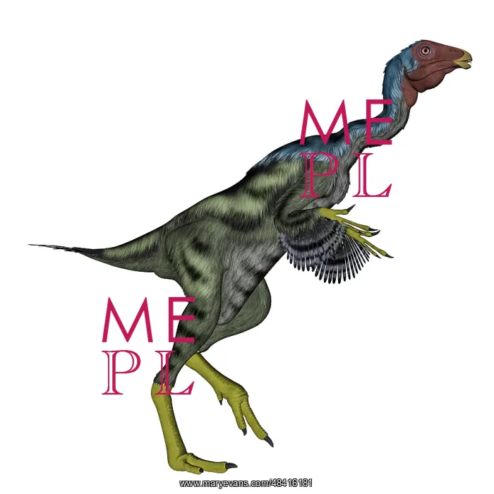 : Caudipteryx dinosaur : Caudipteryx dinosaur