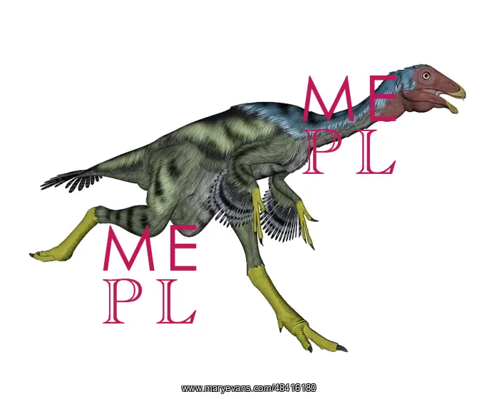 : Caudipteryx dinosaur running : Caudipteryx dinosaur running
