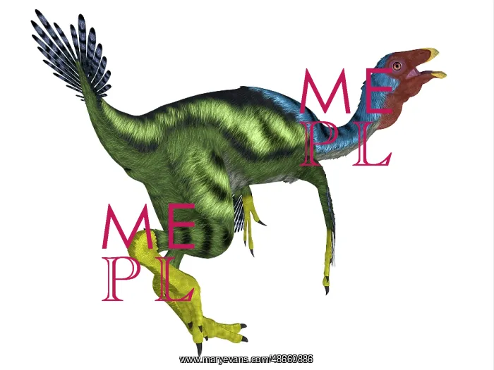 : Caudipteryx dinosaur, white background : Caudipteryx dinosaur, white background