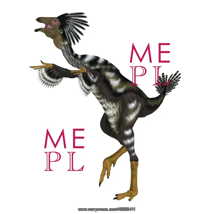 : Caudipteryx feathered dinosaur, side view on white : Caudipteryx feathered dinosaur, side view on white
